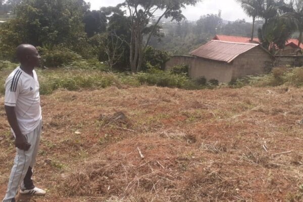 Agrandir l'image - Suivis des travaux au sein des chefferies traditionnelles Suivis des travaux au sein des chefferies traditionnelles