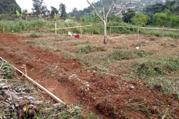 Agrandir l'image - Suivis des travaux au sein des chefferies traditionnelles Suivis des travaux au sein des chefferies traditionnelles